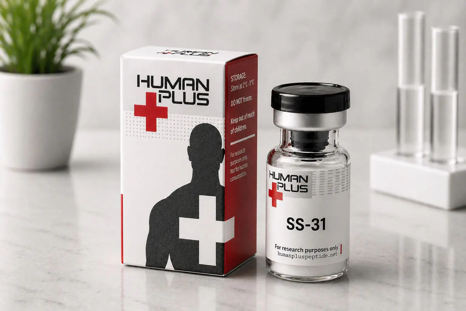 Recovery Plus